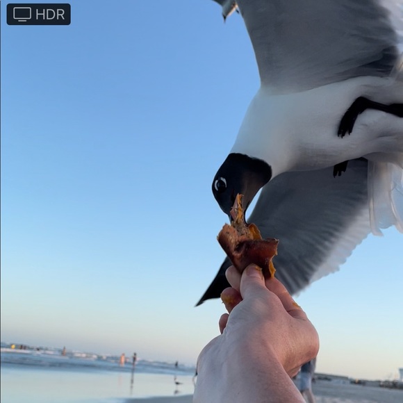 Meet your Posher, Michelle - Picture 5 of 5